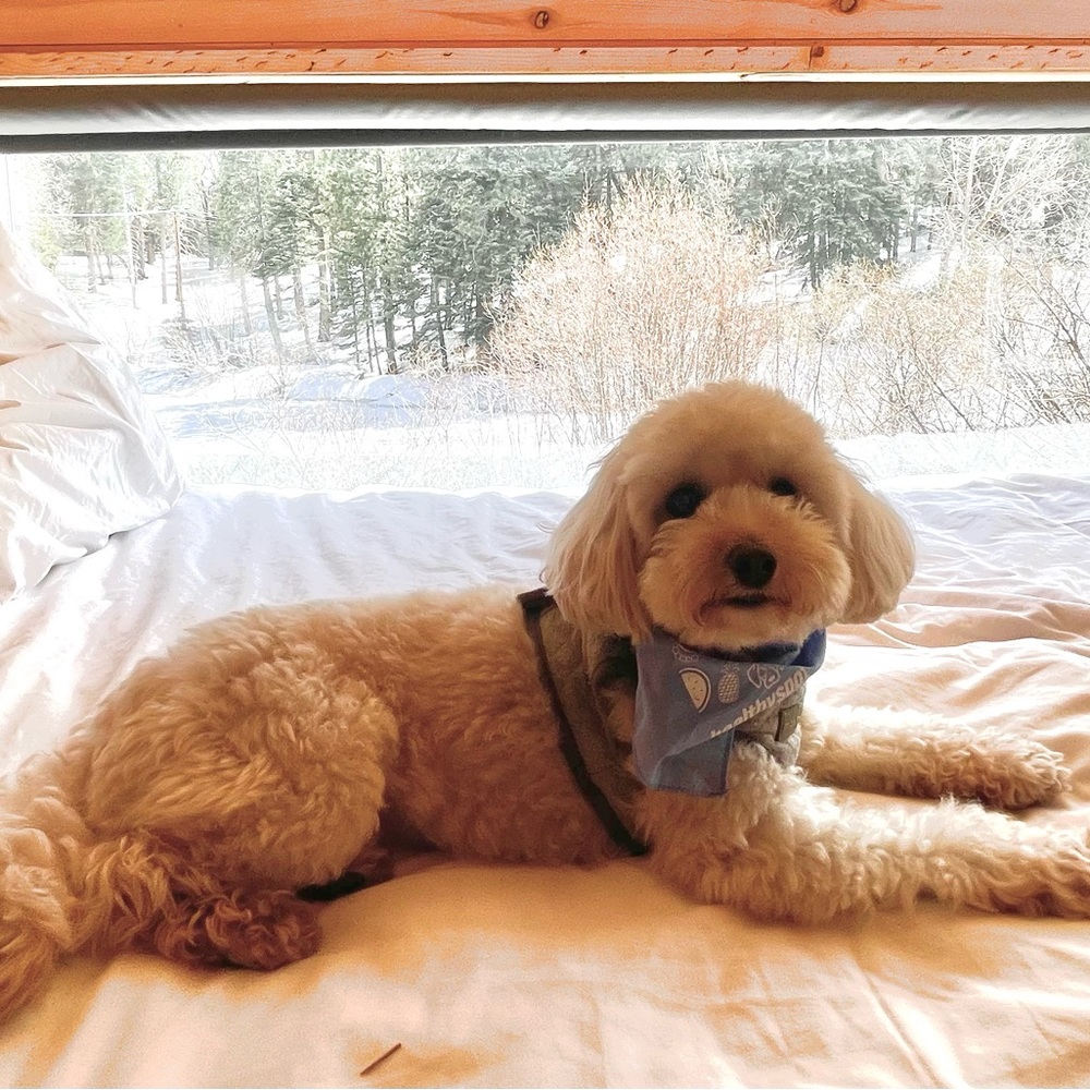 Meet your Posher, Sakura